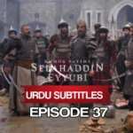 Select Salahuddin Ayubi Episode 36 with Urdu Subtitles Salahuddin Ayubi Episode 37 with Urdu Subtitles